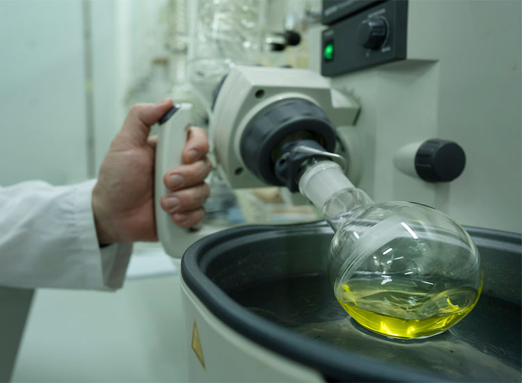 grupo-hortofr-lineas-de-investigación-aceite