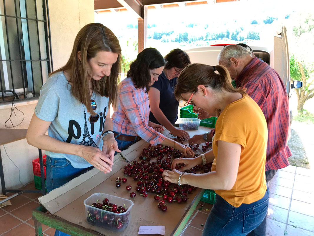 grupo-hortofr-carrusel-inicio3